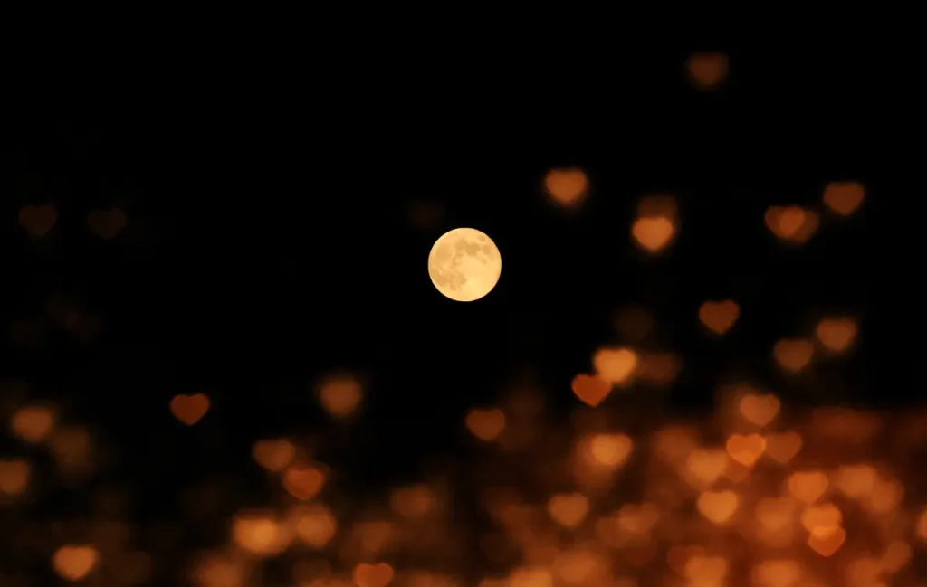 The Moon Represents My Heart